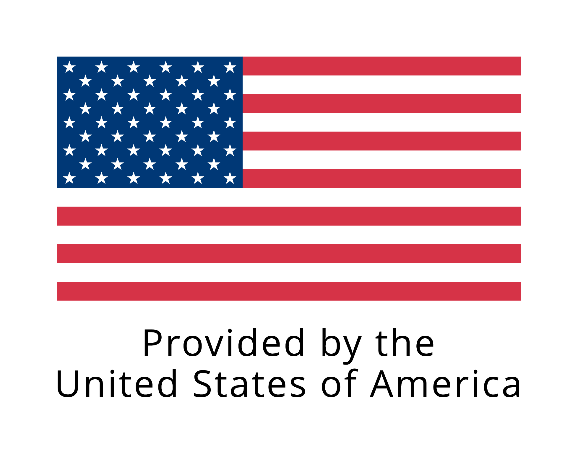 U.S. Flag Logo